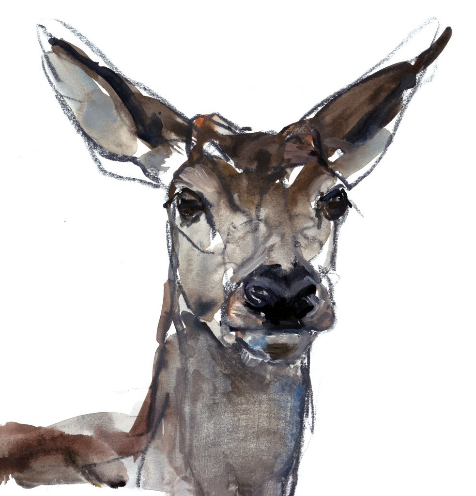 Detail of Deer, 2023, by Mark Adlington