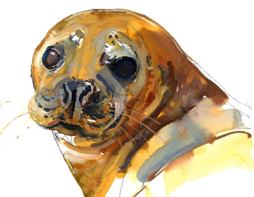 Detail of Ginger Pup, Westcove, 2023, by Mark Adlington