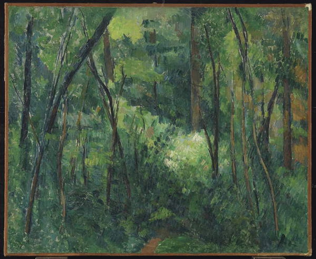 Detail of Interior of a forest, c.1885 by Paul Cezanne