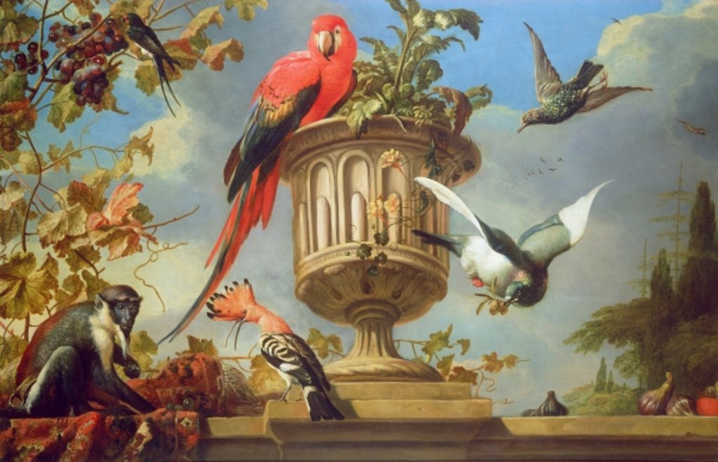 Detail of Scarlet Macaw perched on an urn, with other birds and a monkey eating grapes by Melchior de Hondecoeter