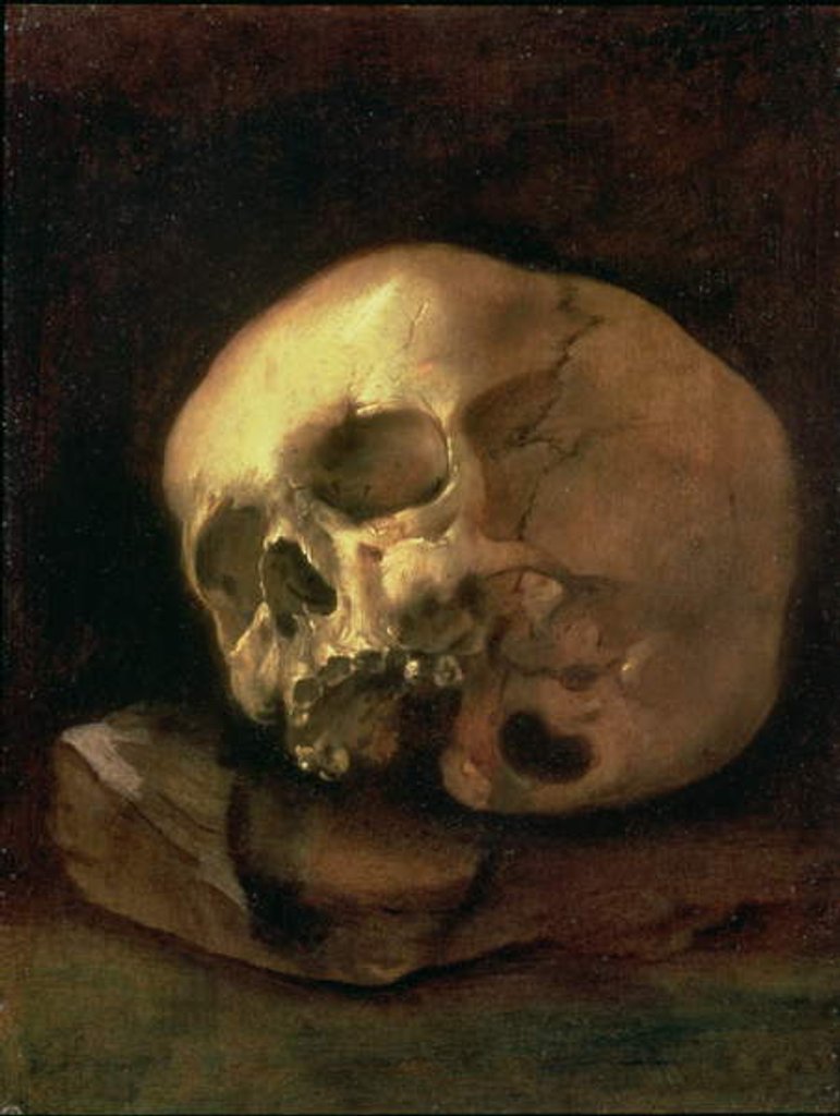 Detail of A skull by Dutch School