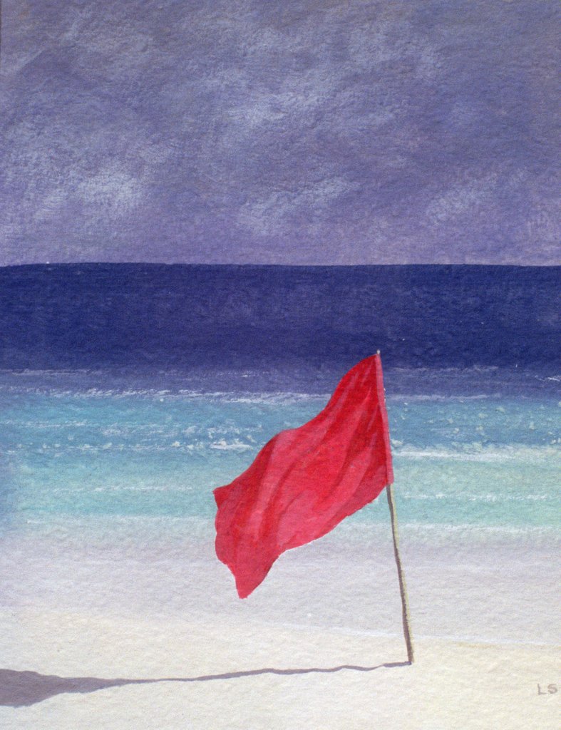 Detail of Beach Flag - Storm Warning, 1985 by Lincoln Seligman