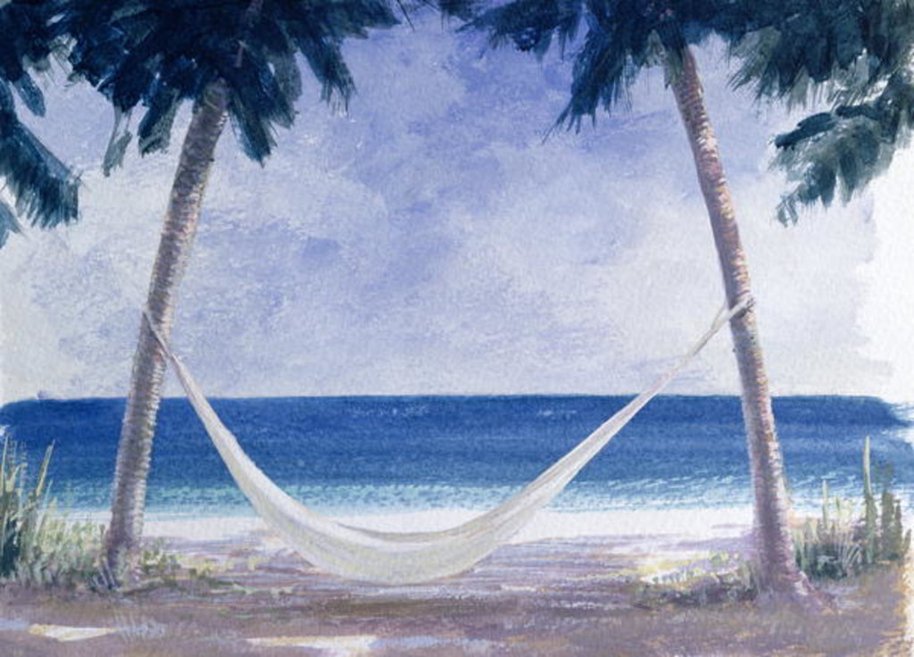 Detail of Hammock, 2005 by Lincoln Seligman