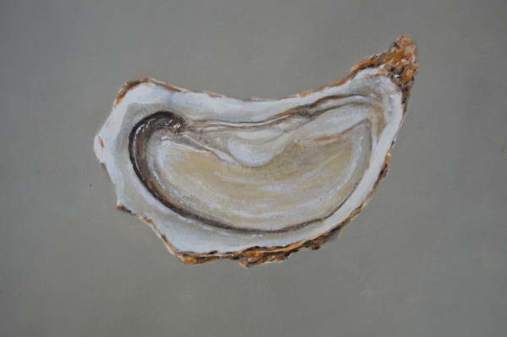 Detail of Breton Oyster 1 by Lincoln Seligman