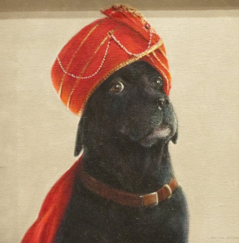 Detail of Reluctant Maharaja, 2010 by Lincoln Seligman