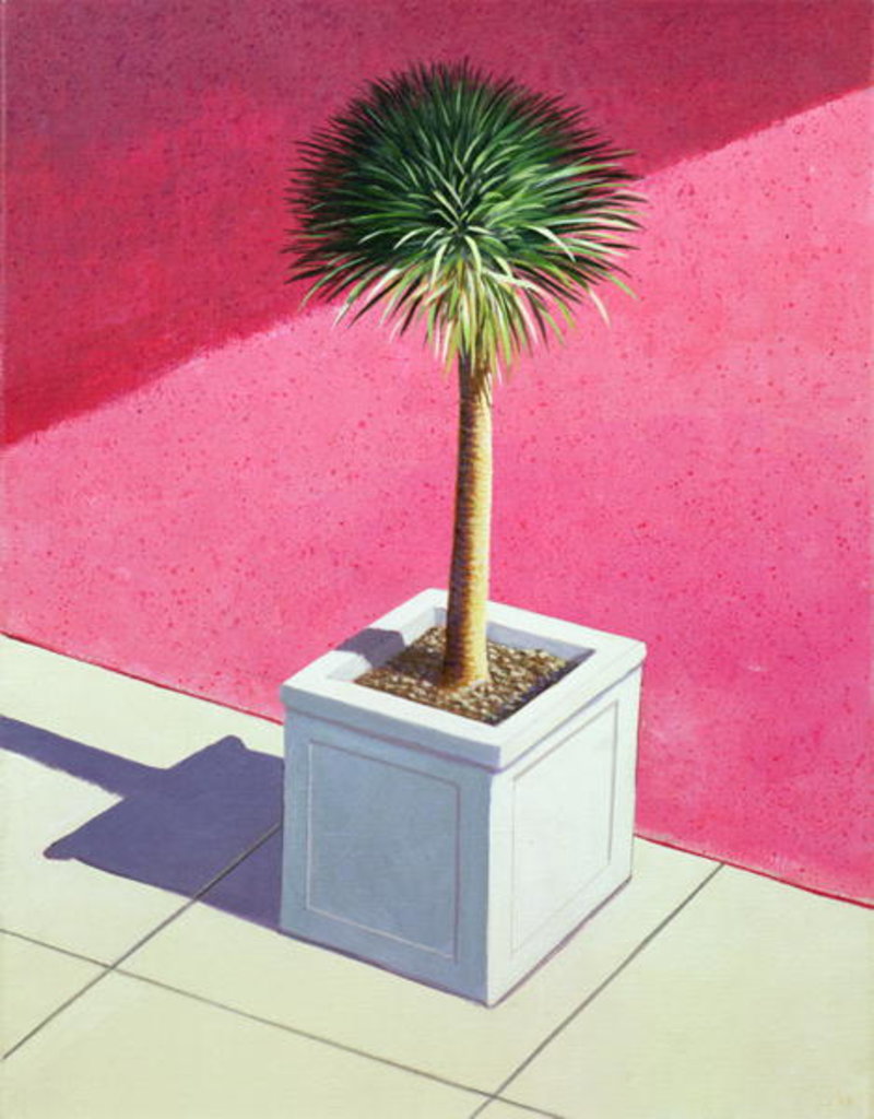 Detail of Small palm, 1995 by Lincoln Seligman