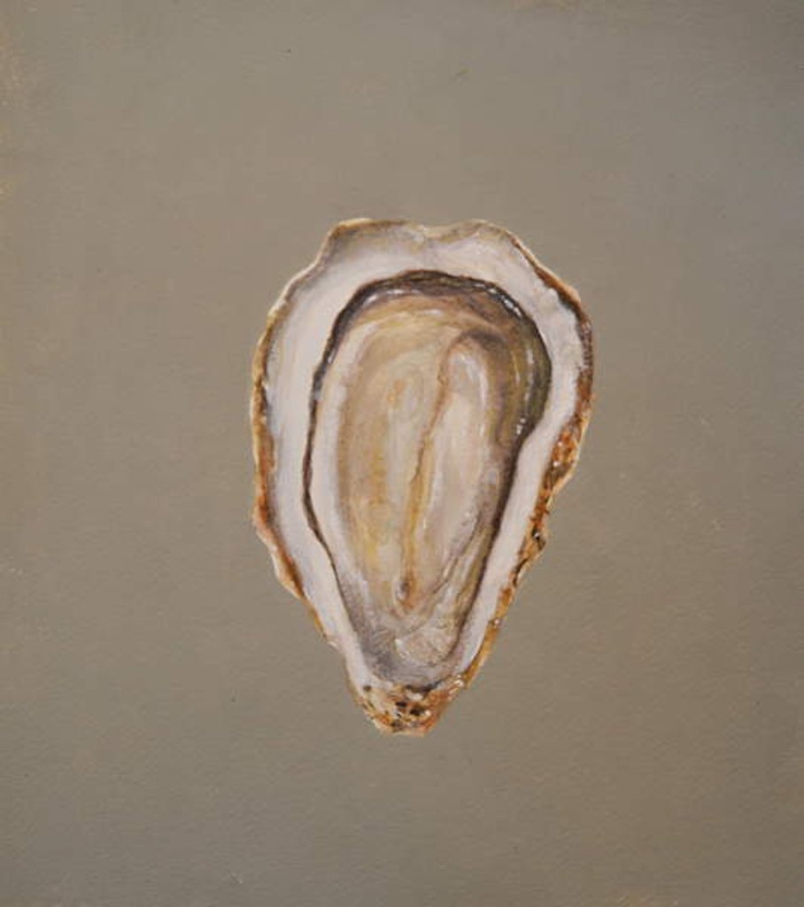 Detail of Oyster 1, 2019 by Lincoln Seligman