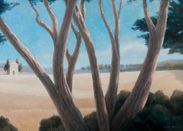 Detail of Pines near Pienza, 2012 by Lincoln Seligman