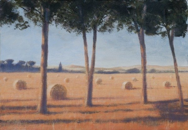 Detail of Hay Bales and Pines, Pienza, 2012 by Lincoln Seligman