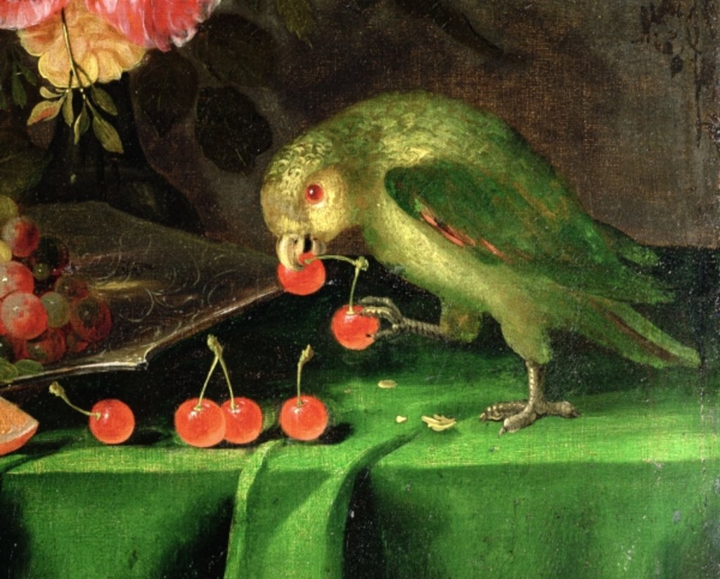 Detail of Still Life of Fruit and Flowers, detail of a Parrot by Jan Davidsz. de Heem