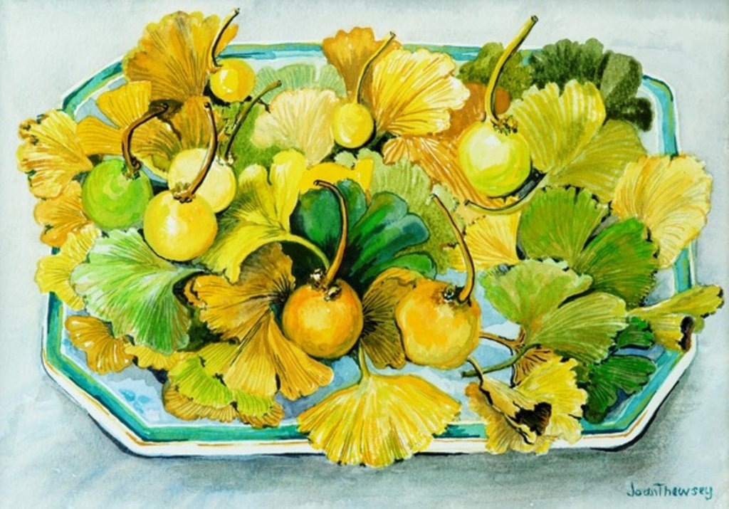 Detail of Ginkgo,fruit and Leaves,2010 by Joan Thewsey