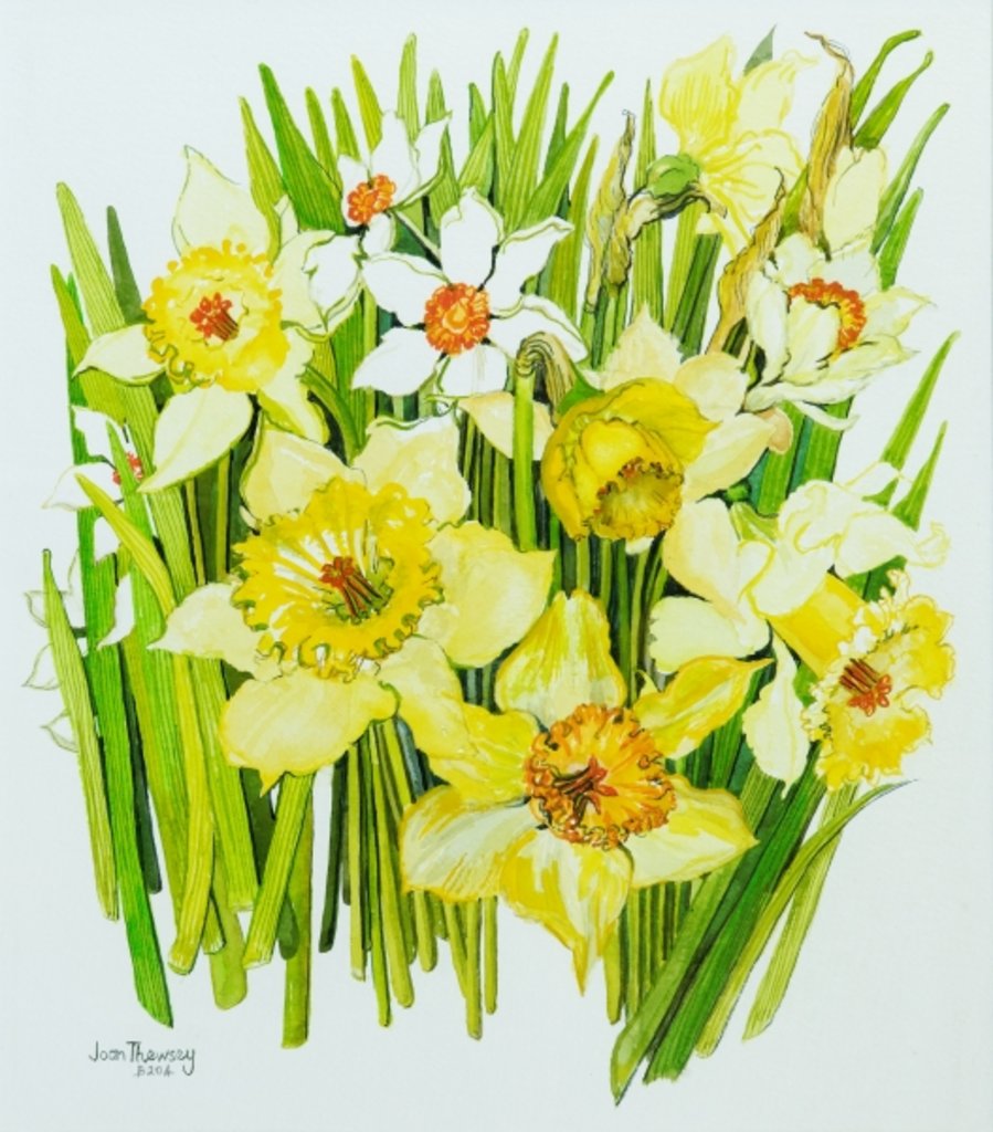 Detail of Daffodils and narcissus by Joan Thewsey