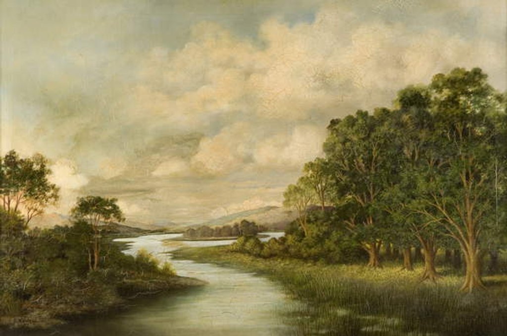 Detail of View of North Tyne River by R. Rowell