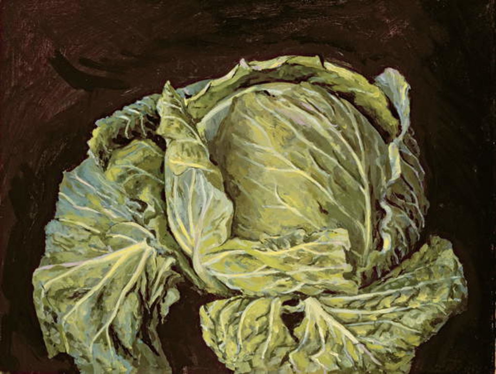 Detail of Cabbage Still Life, 2000 by Vincent Yorke