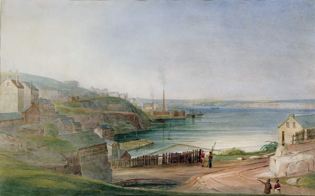 Detail of Darling Harbour from Millers Point by Frederick Garling