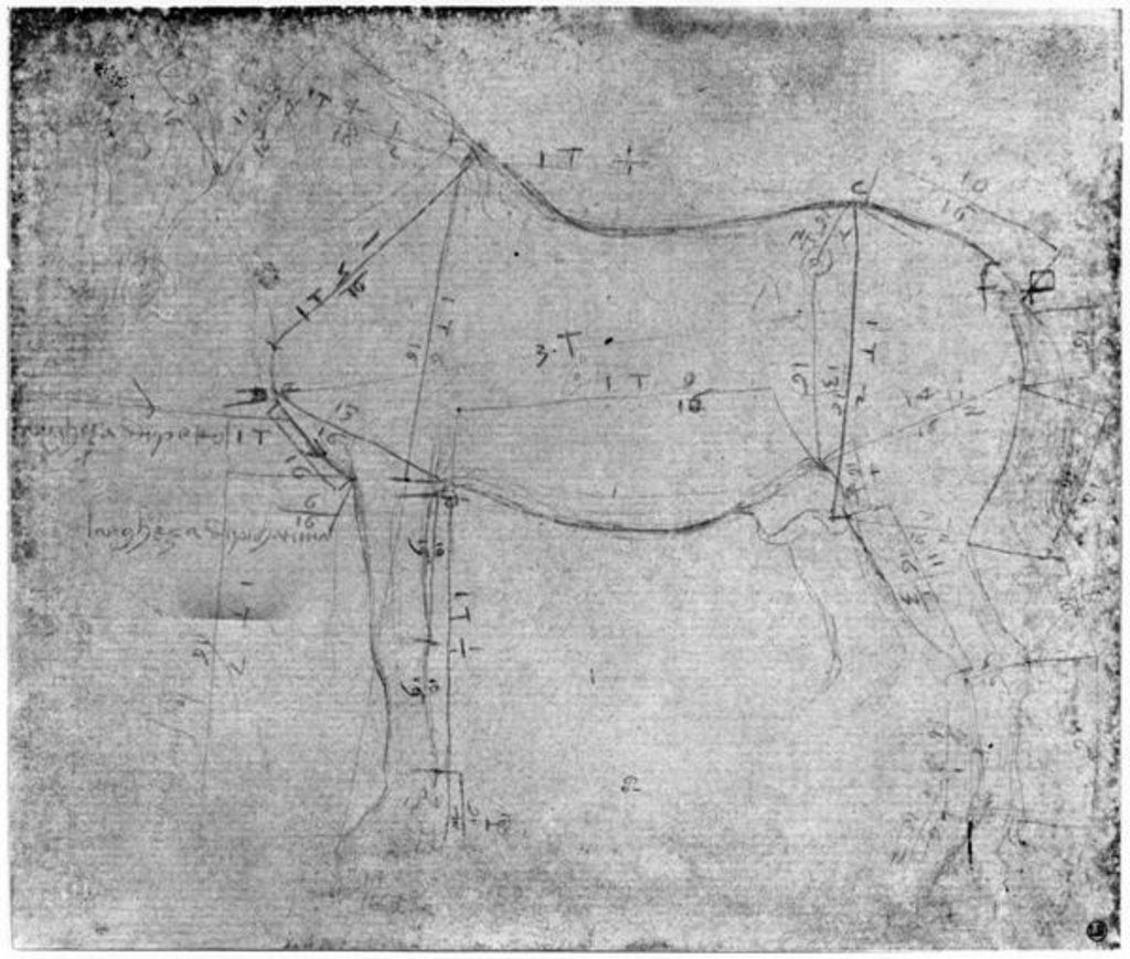 Detail of Study of a Horse by Leonardo da Vinci