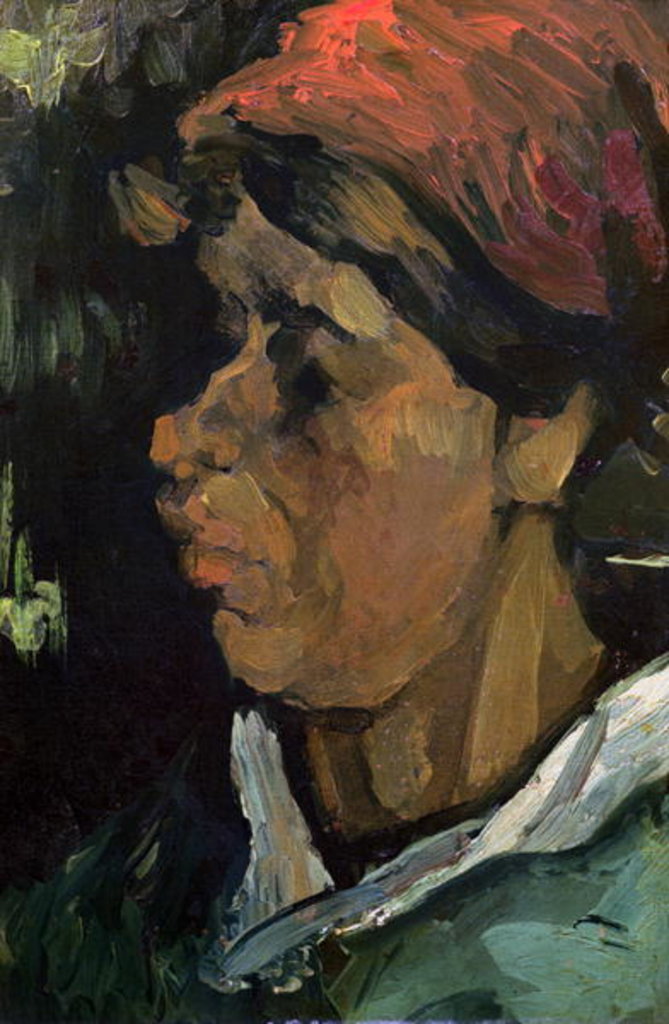 Detail of Head of a Dutch Peasant, 1884 by Vincent van Gogh