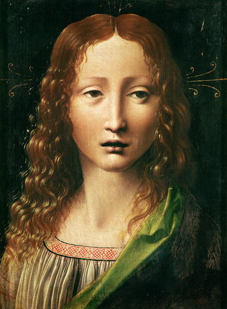 Detail of Head of the Saviour by Leonardo da Vinci