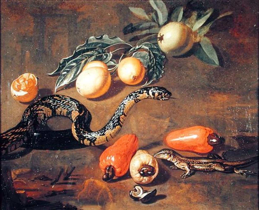 Detail of Still Life of Fruits from Surinam and Reptiles by Dirk Valkenburg