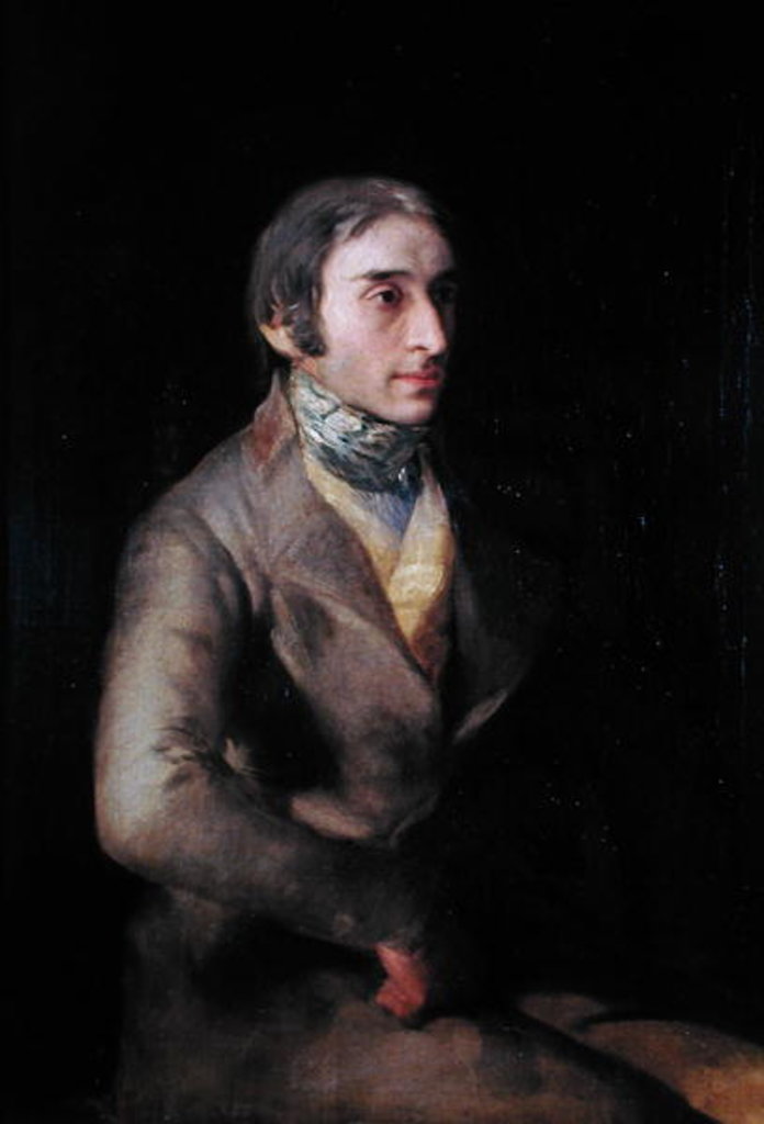 Detail of Don Manuel Silvela c.1809-12 by Francisco Jose de Goya y Lucientes