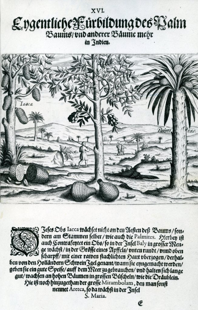 Detail of Landscape by Theodor de Bry