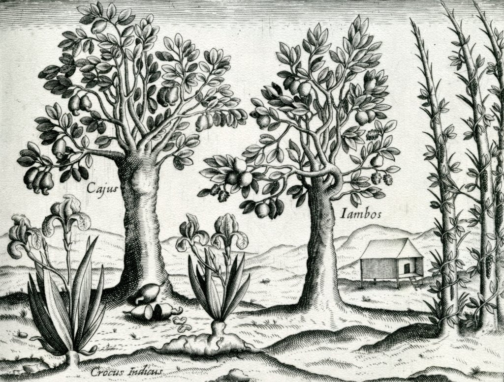 Detail of Landscape by Theodor de Bry