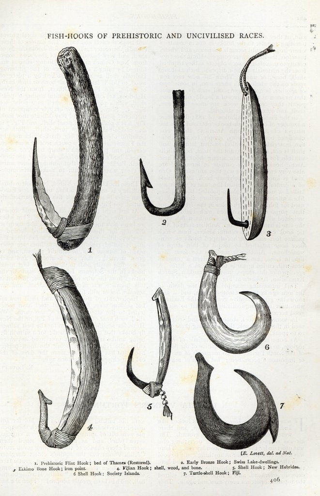 Detail of Fish-hooks of Prehistoric and Uncivilised races by English School