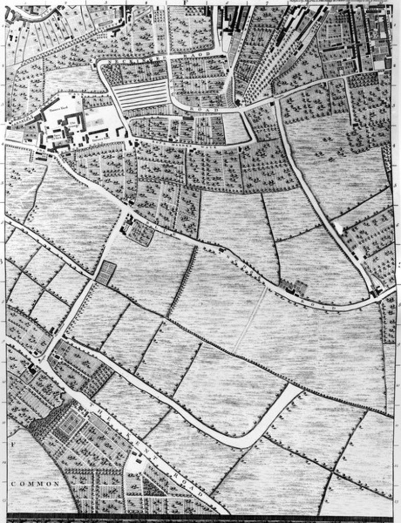 Detail of A Map of Bermondsey, London, 1746 by John Rocque