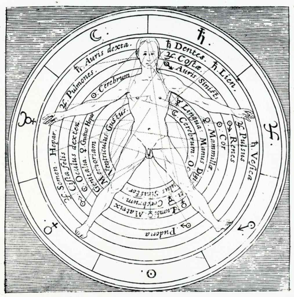 Detail of Vitruvian figure by English School