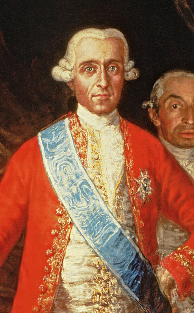 Detail of Portrait of Don Jose Monino y Redondo I, Conde de Floridablanca, 1783 by Francisco Jose de Goya y Lucientes