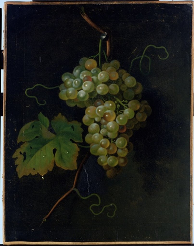 Detail of Grapes by Tobias Stranover