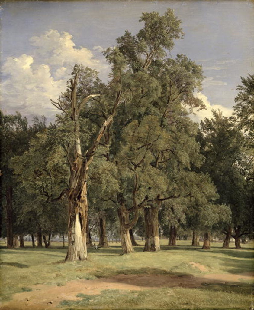 Detail of Elm trees in Prater, 1831 by Ferdinand Georg Waldmuller