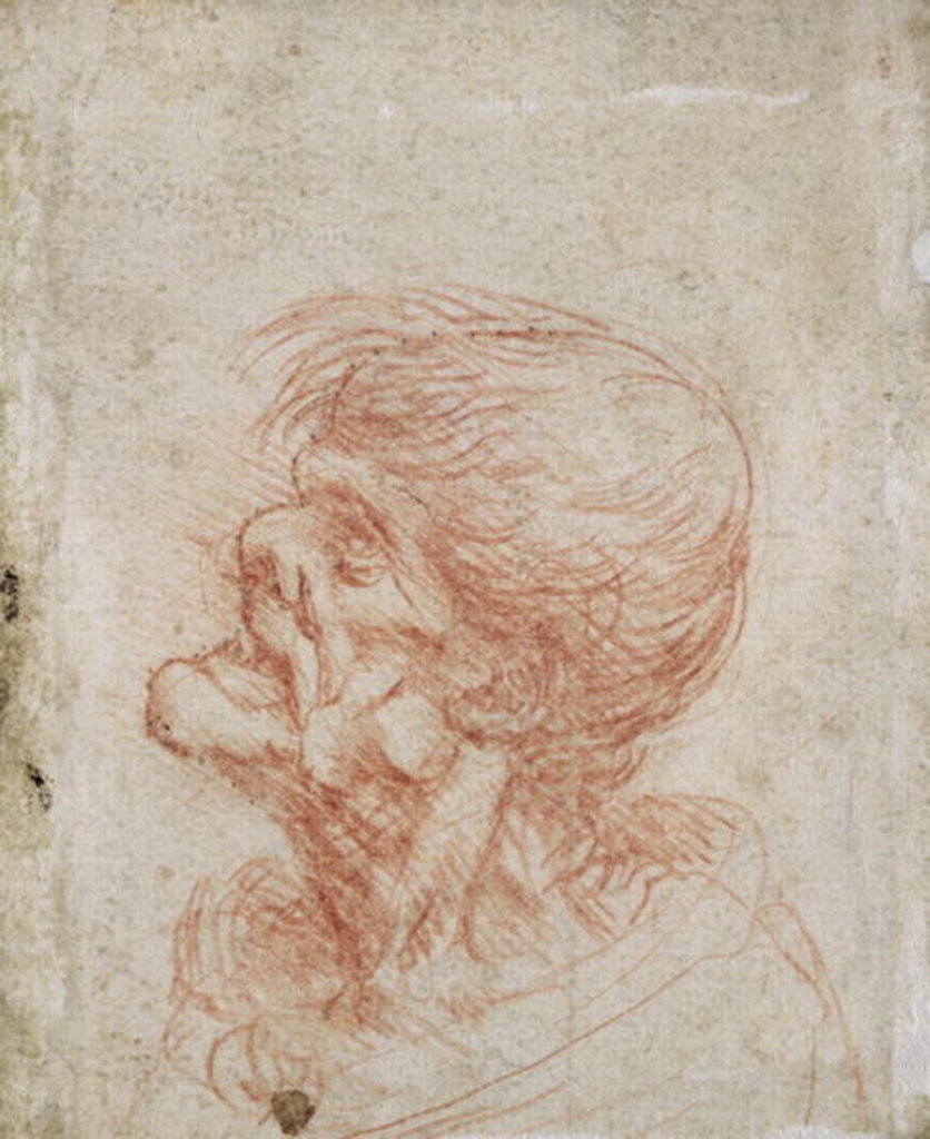 Detail of Caricature Head Study of an Old Man, c.1500-05 by Leonardo da Vinci