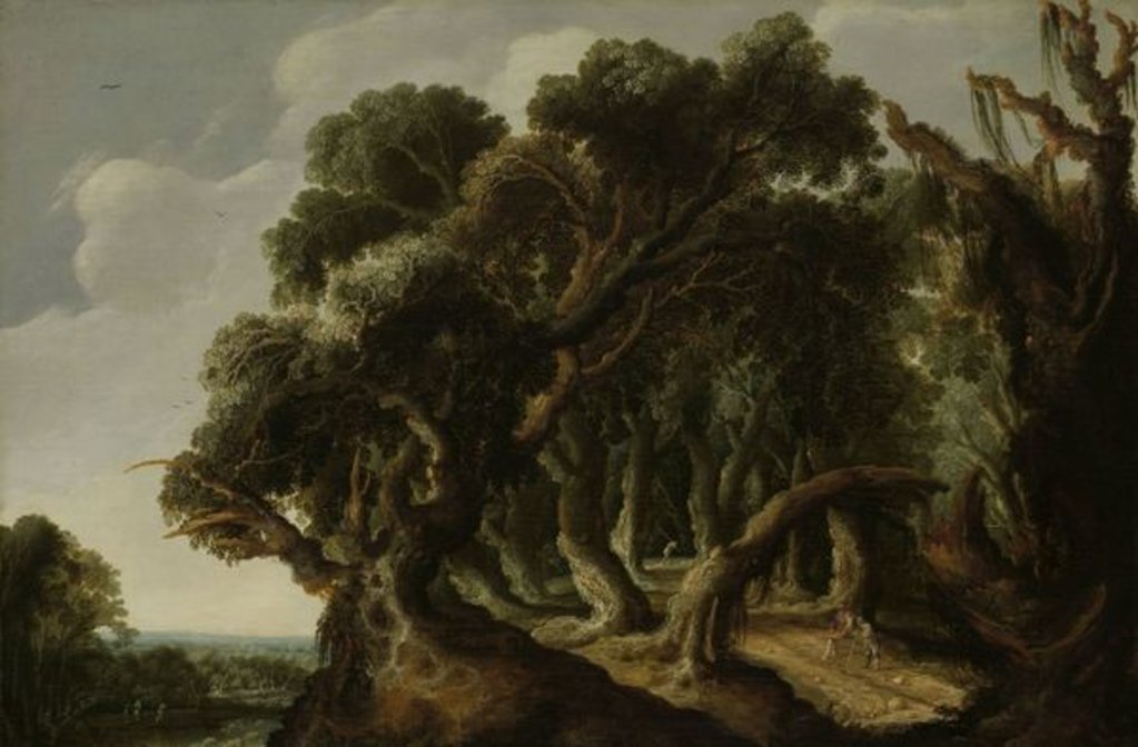 Detail of Wooded Landscape, c.1633 by Jacob Jacobsz van Geel