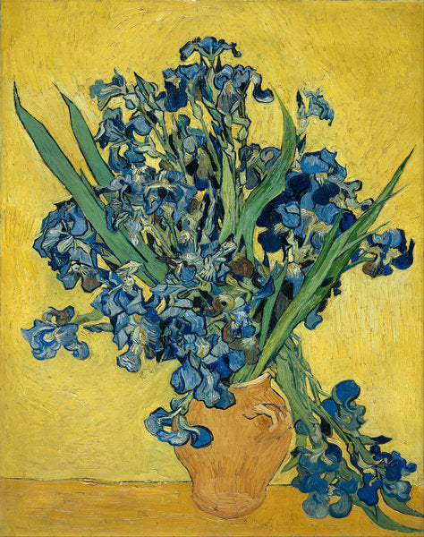 Detail of Irises, 1890 by Vincent van Gogh