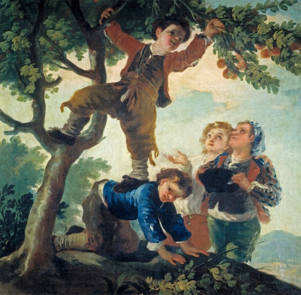 Detail of Boys Picking Fruit, 1779-80 by Francisco Jose de Goya y Lucientes