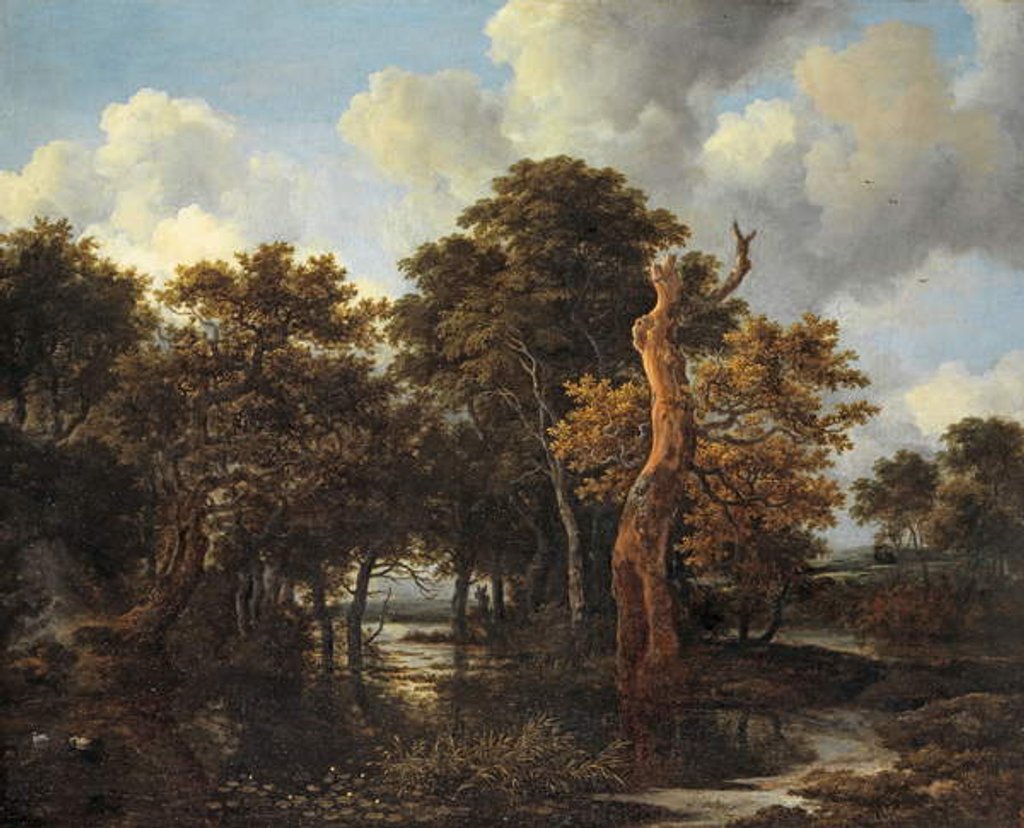 Detail of Wooden Marsh Landscape with Dead Tree, c.1665 by Jacob Isaaksz. or Isaacksz. van Ruisdael