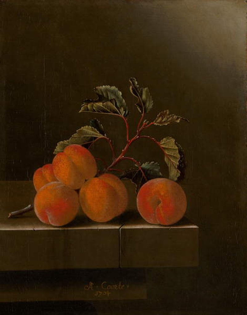 Detail of Still Life with Five Apricots, 1704 by Adrian Coorte