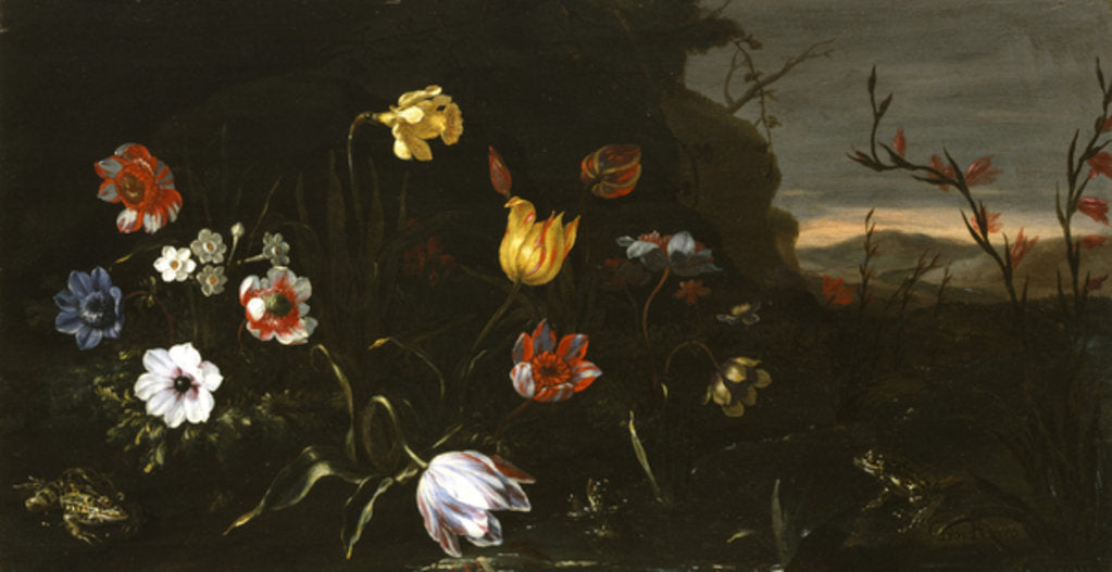 Detail of Flowers and Frogs, 1670-9 by Giuseppe Recco