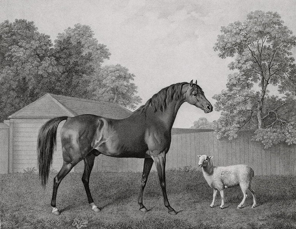 Detail of Dungannon by George Stubbs