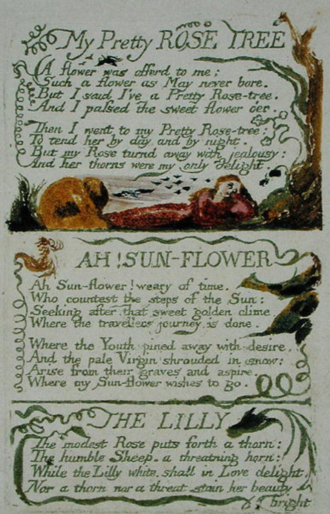 Detail of My Pretty Rose Tree and Ah! Sun-flower, and The Lily by William Blake