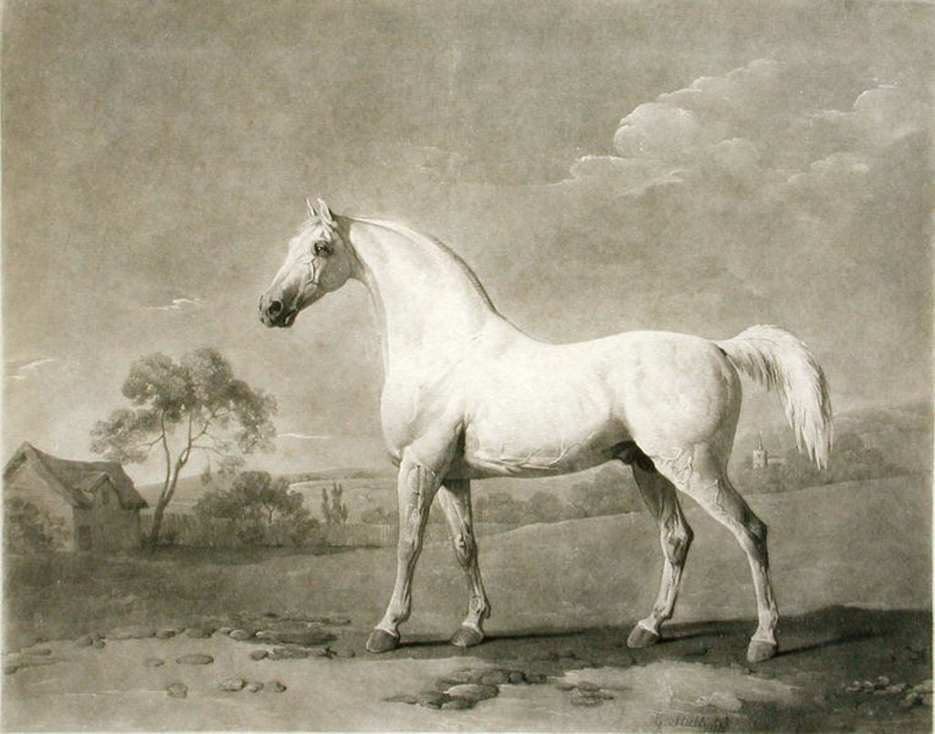 Detail of Mambrino, after George Stubbs, 1788 by Charles Howard Hodges