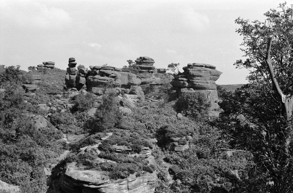 Detail of Brimham Rocks 1970 by Staff