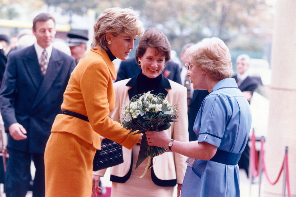 Detail of Princess Diana 1995 by Liverpool Echo