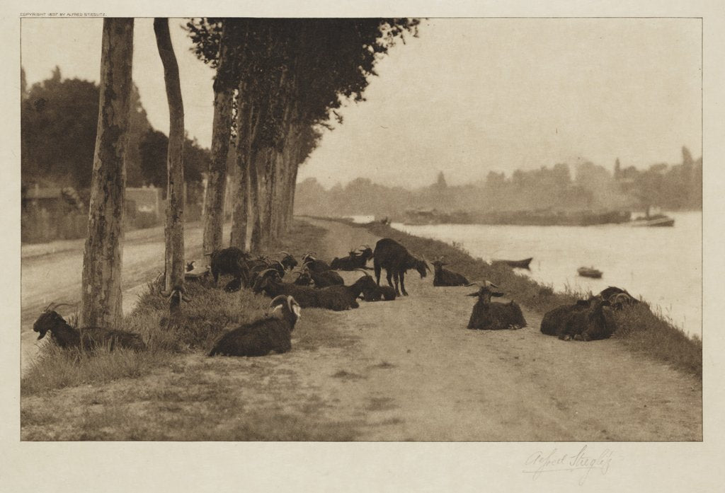 Detail of Decorative Landscape by Alfred Stieglitz