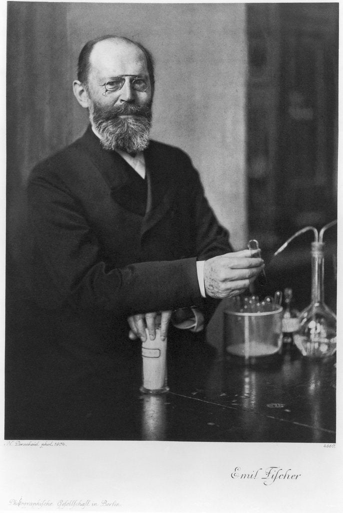 Detail of Emil Fischer, German organic chemist, 1904 by Unknown