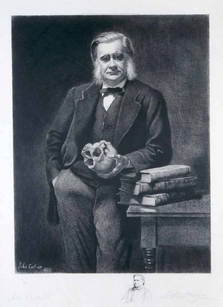 Detail of Thomas Henry Huxley, 1893 by Leopold Flameng