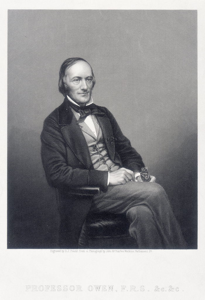 Detail of Sir Richard Owen, English zoologist, c1860. by DJ Pound