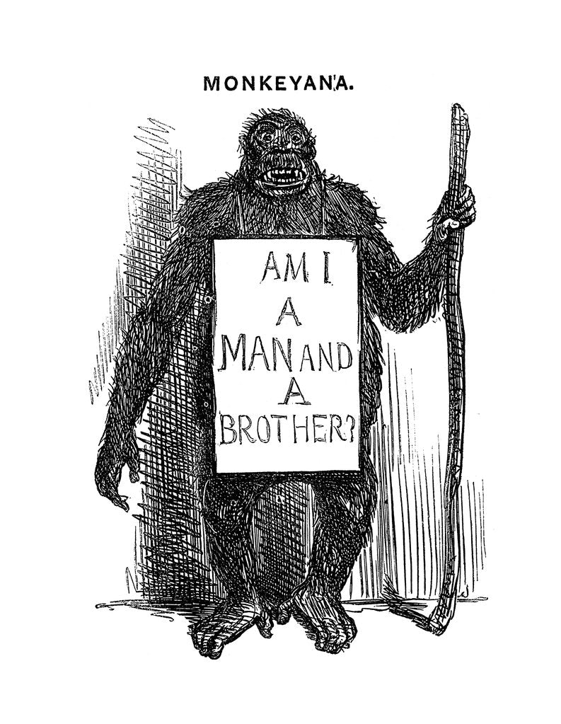 Detail of Monkeyana: Am I a Man and a Brother?, 1861 by Unknown