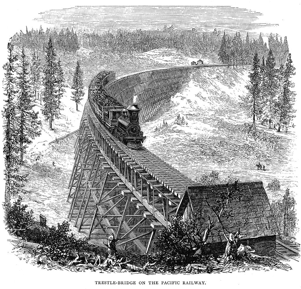 Detail of Trestle Bridge on the Union Pacific Railroad, USA, 1876 by Unknown